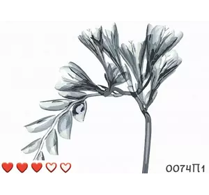 0074П1 Картина	"Туманні квіти" 40*50 см