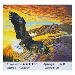 Картина за номерами HCEG  30234 (30) ""TK Group"", ""Вільний орел"", 40х30 см, у коробці