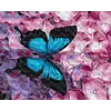 Картина за номерами: Метелик на квітах 40х50
