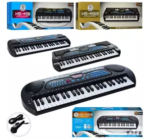 Синтезатор HS4911-21-31 49 клавіш, мікрофон, USB зарядне, запис, демо, 3 види, бат., кор., 66-24-10