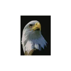 Алмазна картина HX281 "Портрет орла", розміром 30х40 см