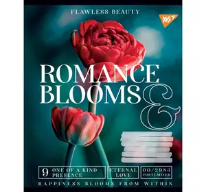 А5/24 кл. YES Romance blooms, зошит учнів.